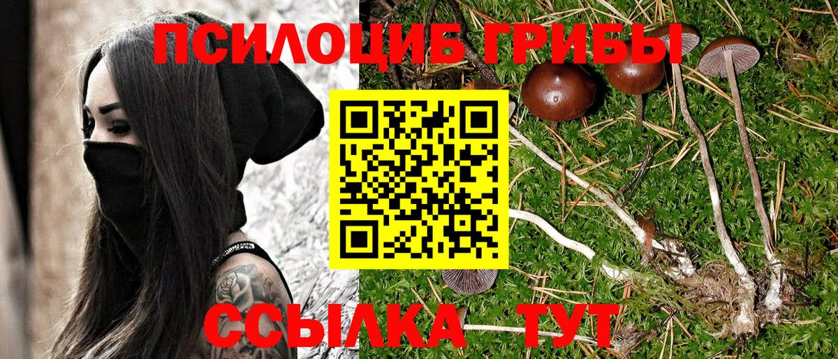 Галлюциногенные грибы Psilocybine cubensis  Вход с VPN  Барнаул 