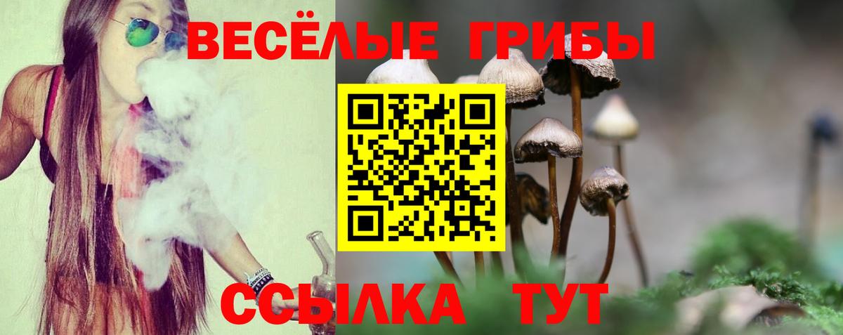 Псилоцибиновые грибы мухоморы Барнаул